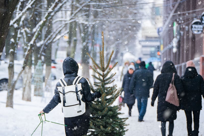 Urban Nature Walk